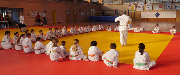 judo sumo