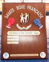 savate-bouclier2013