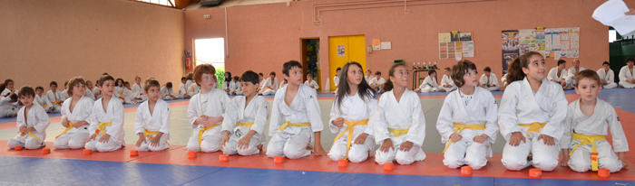 judo2013juin