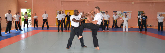 karate-juin2013