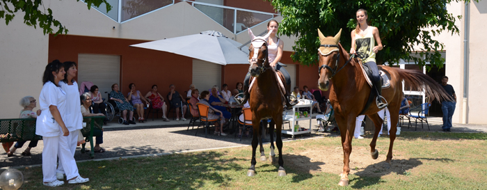 mdr-juillet-chevaux