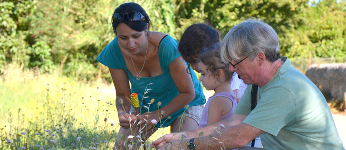 biblio-art land-juillet2013