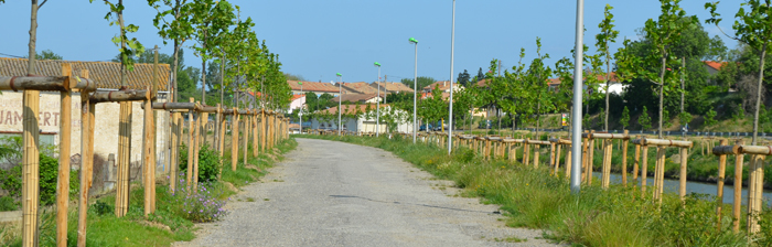 berges-du canal2