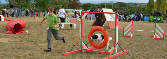 canin-agility sept2013-c