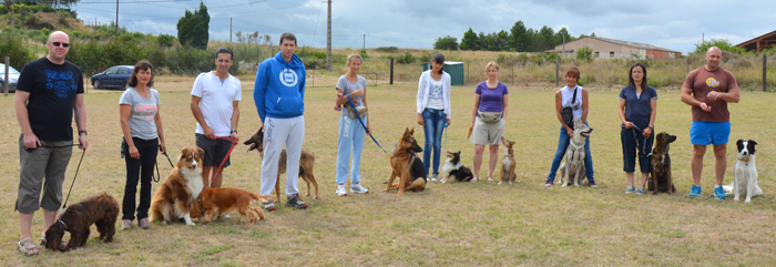 canin2013aout-obeissance