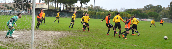 tfc-narbonne-10nov2013