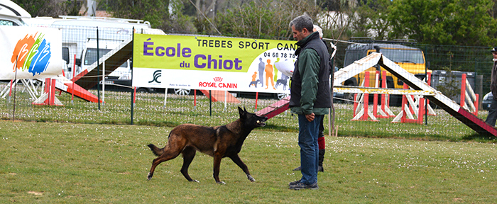 canin-obeissance-mars2014