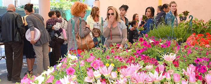 floralies-marché aux fleurs 2014