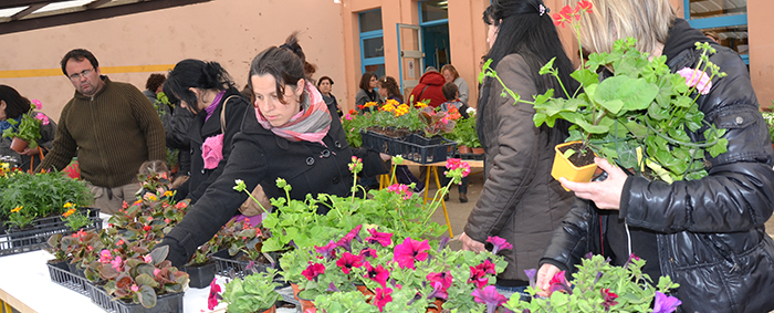 floralies-marché-auxfleurs2013-2