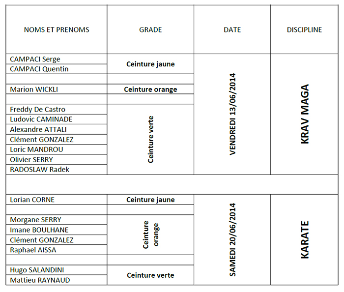 karate-grade-juin2014