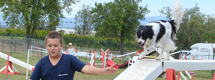 canin-agility- Trèbes sept2014