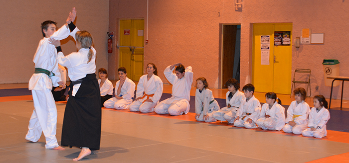 aikido jan2015