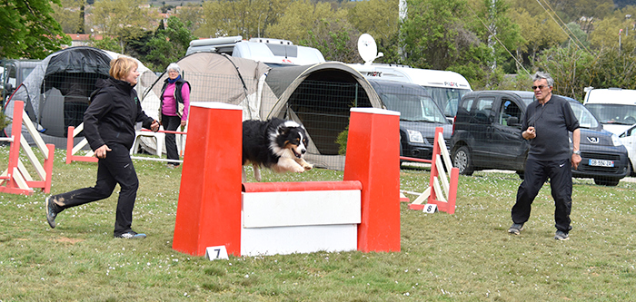 canin agility avril2016 2