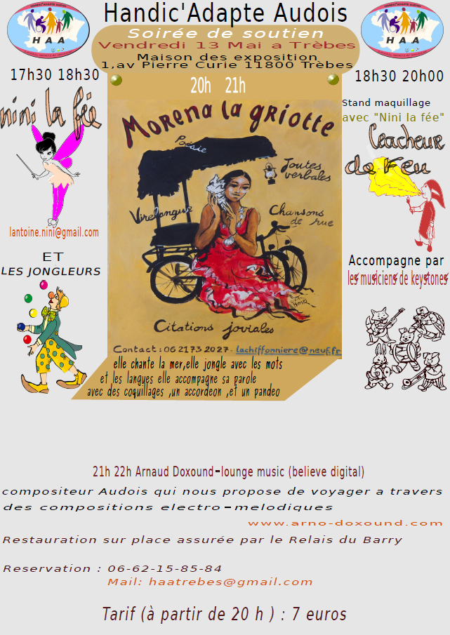 handic adapté affiche 13 mai2016