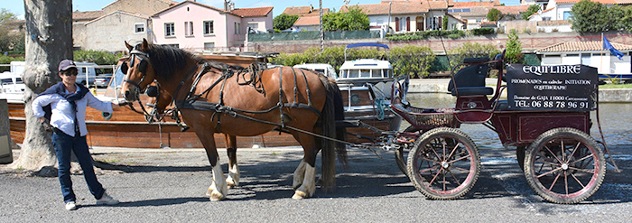 balade calèche