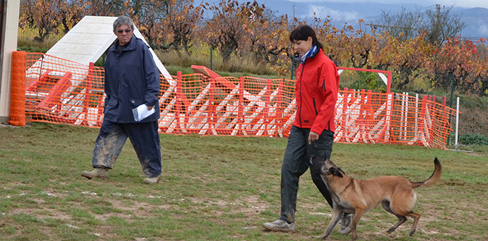 canin obeissance oct2016