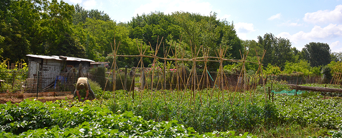 jardins de la Pépinière