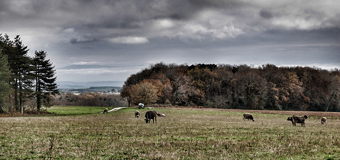 rode aires à la goutarende 2