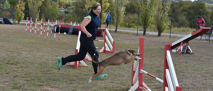 canin agility3