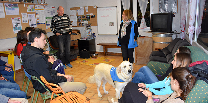 handic soirée handi chiens