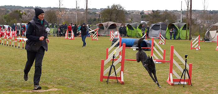 canin agility fev2018 trèbes