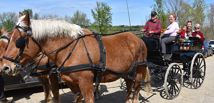 equi passion TREBES 3