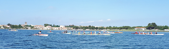 aviron thau 2