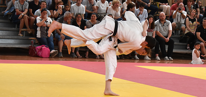 judo trèbes automne pavia
