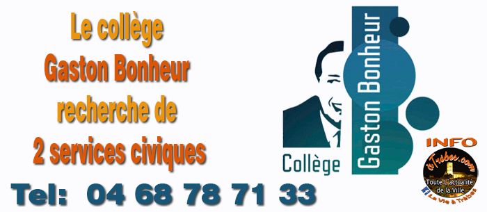 college service civique