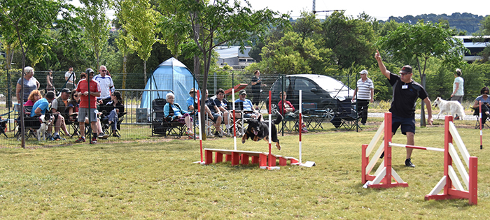 canin agility juin2019