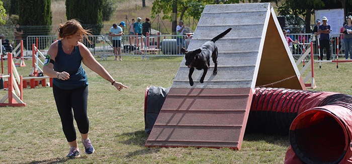 agility sept2019