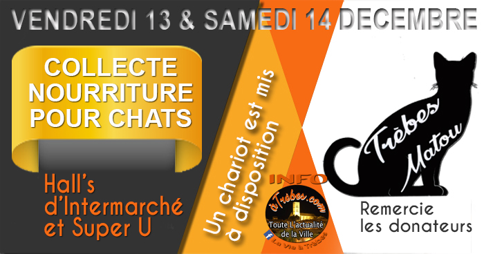 Chat collecte dec2019